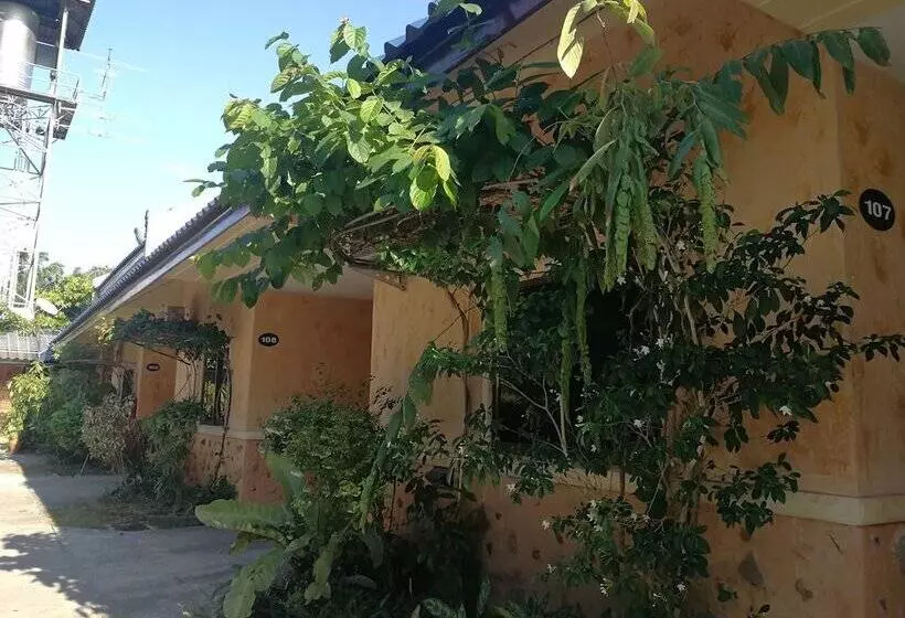 ホテル Palm Chalet Resort