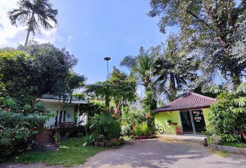 ホテル Saneha Resort