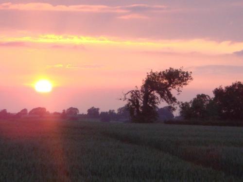 Отель The Royal Arms