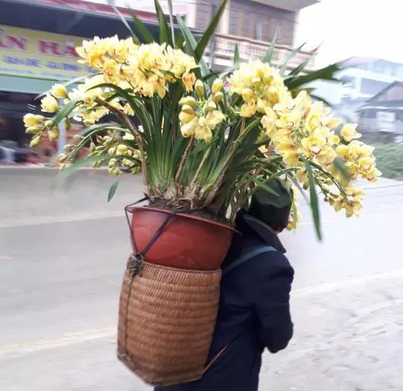 هتل Thuan Ha