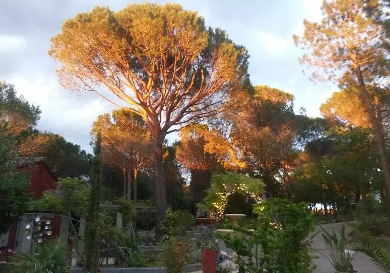 Majatalo Les Mayombes