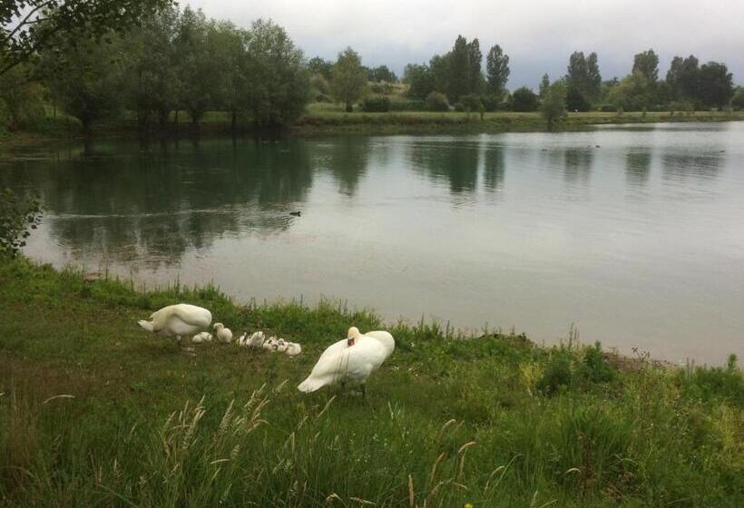 Пансион Domaine Mongiron