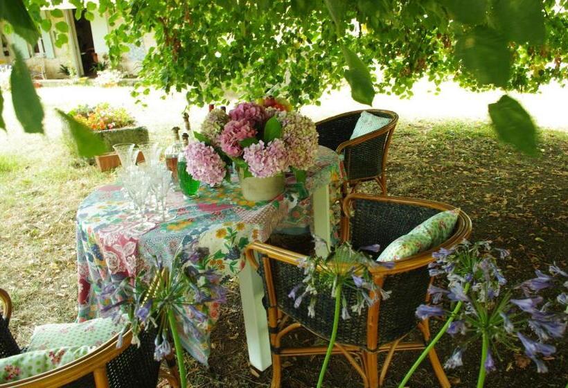 Пансион Domaine Mongiron