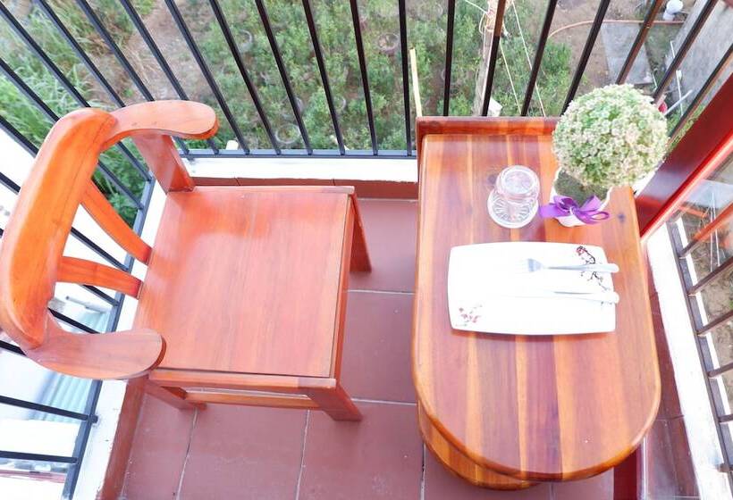 پانسیون White Lion House