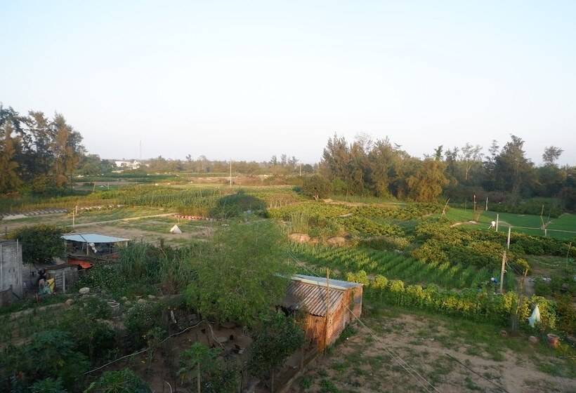 پانسیون White Lion House