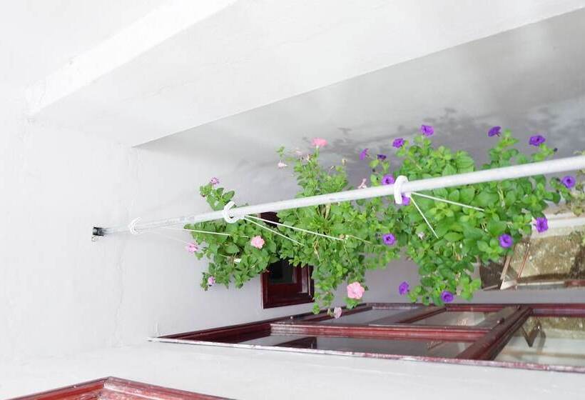 پانسیون White Lion House