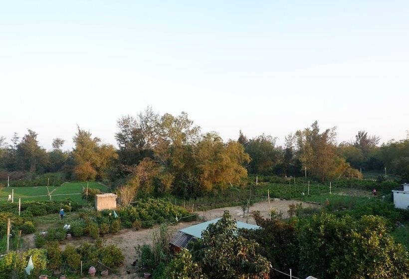 پانسیون White Lion House