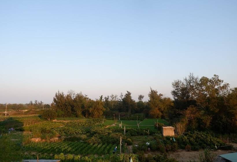 پانسیون White Lion House