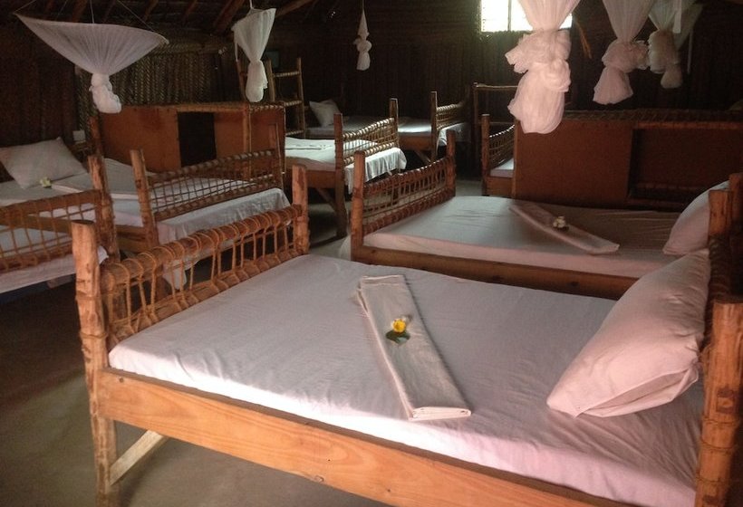 New Jambo Bungalows Hostel