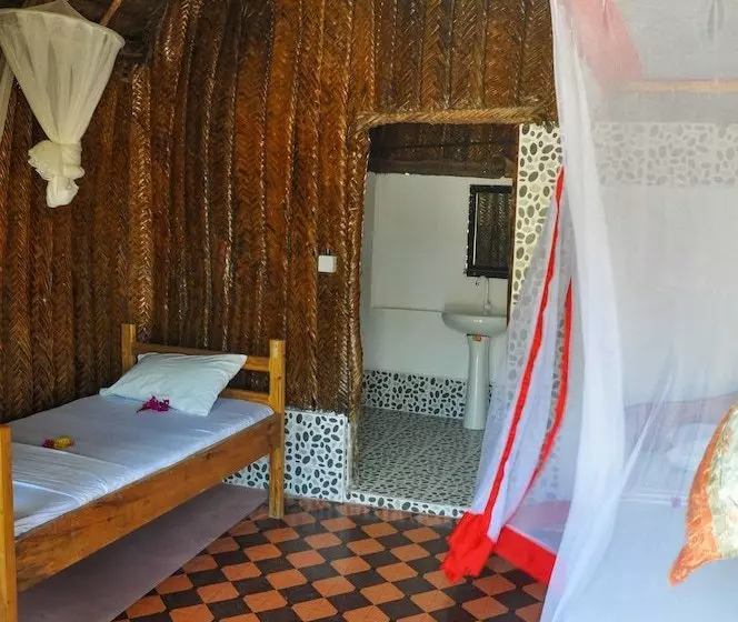 New Jambo Bungalows   Hostel