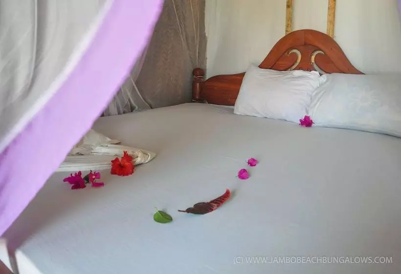 New Jambo Bungalows   Hostel