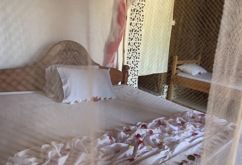 New Jambo Bungalows Hostel