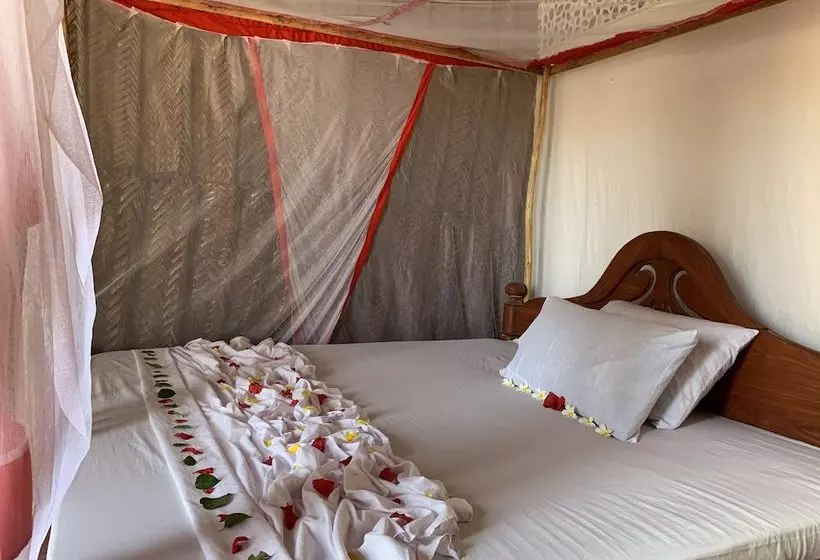 New Jambo Bungalows   Hostel