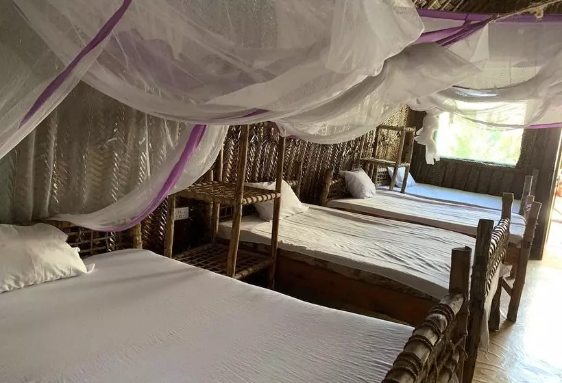 New Jambo Bungalows   Hostel