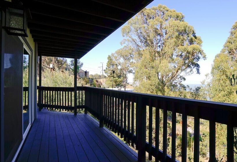 At Marbella Lane Flamingo Lady, Sfo