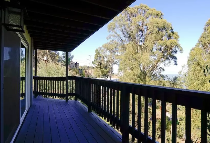 At Marbella Lane   Flamingo Lady, Sfo