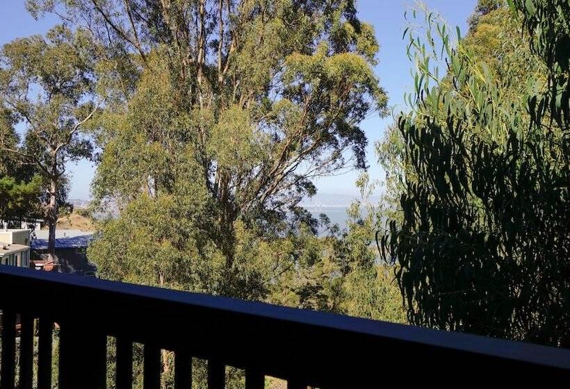 At Marbella Lane Flamingo Lady, Sfo