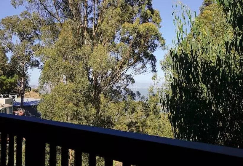 At Marbella Lane   Flamingo Lady, Sfo