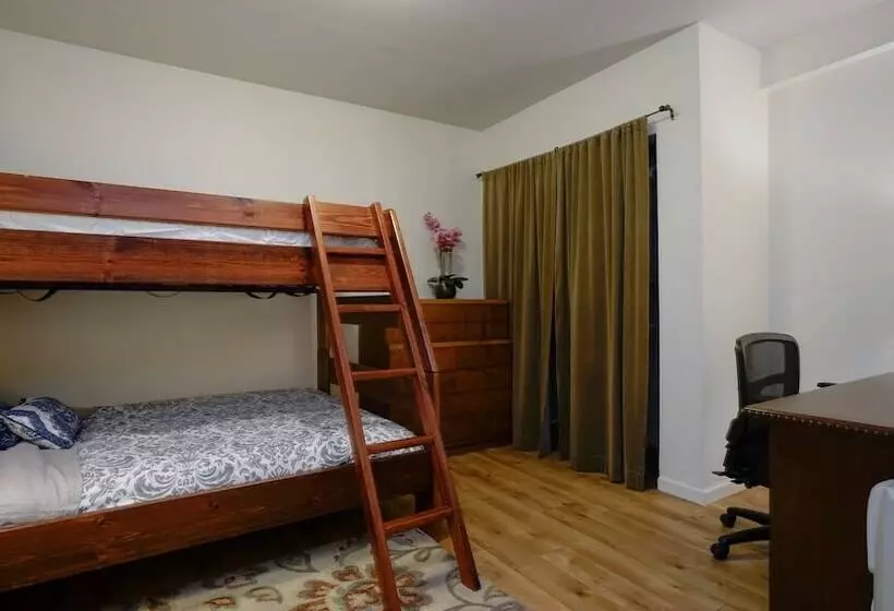 At Marbella Lane   Flamingo Lady, Sfo