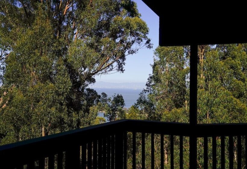 At Marbella Lane Flamingo Lady, Sfo