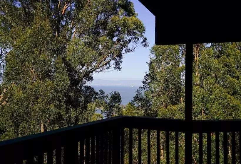 At Marbella Lane   Flamingo Lady, Sfo