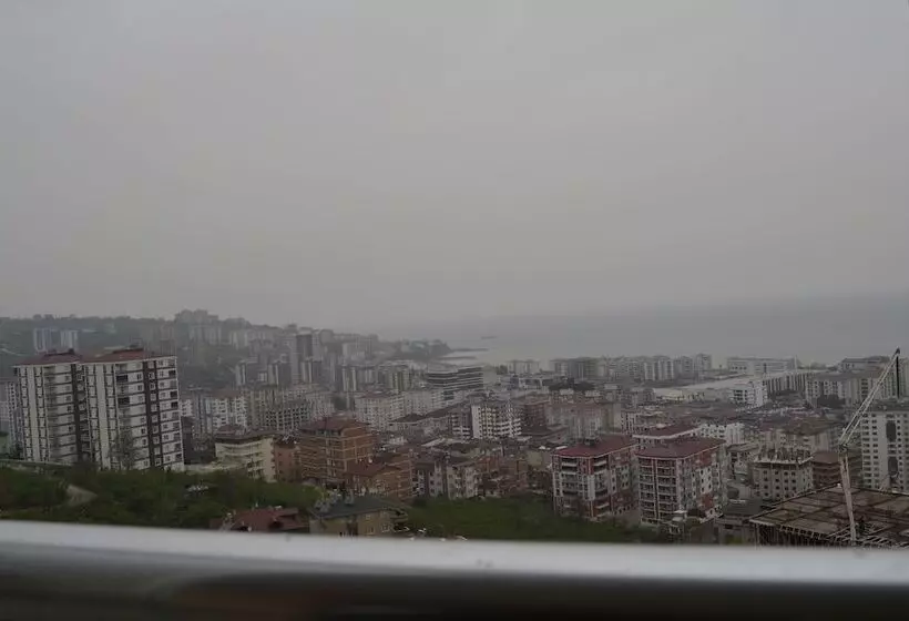 Canary Apart