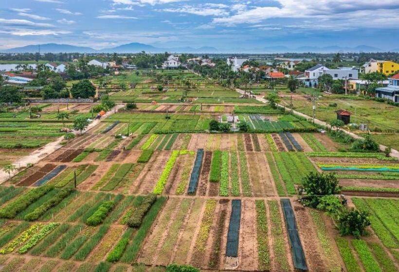 هتل Hoi An Ht Villa And Hostel