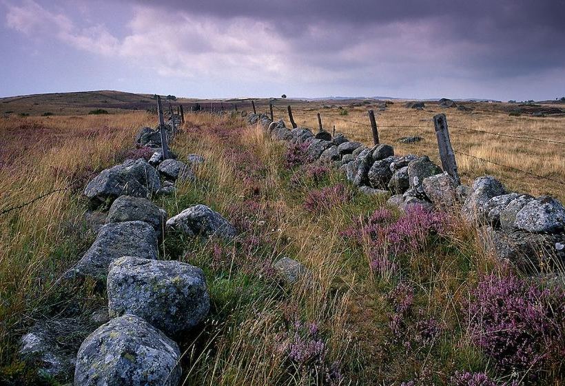 בית מלון כפרי Hôtel Regis