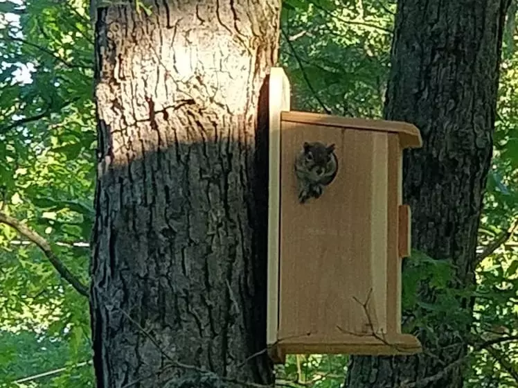 ホテル Maurrocks Bed & Breakfast