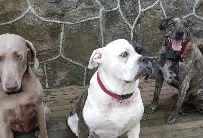 ホテル Maurrocks Bed & Breakfast