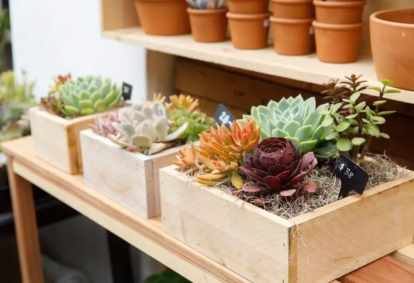 Inn At Moonlight Beach