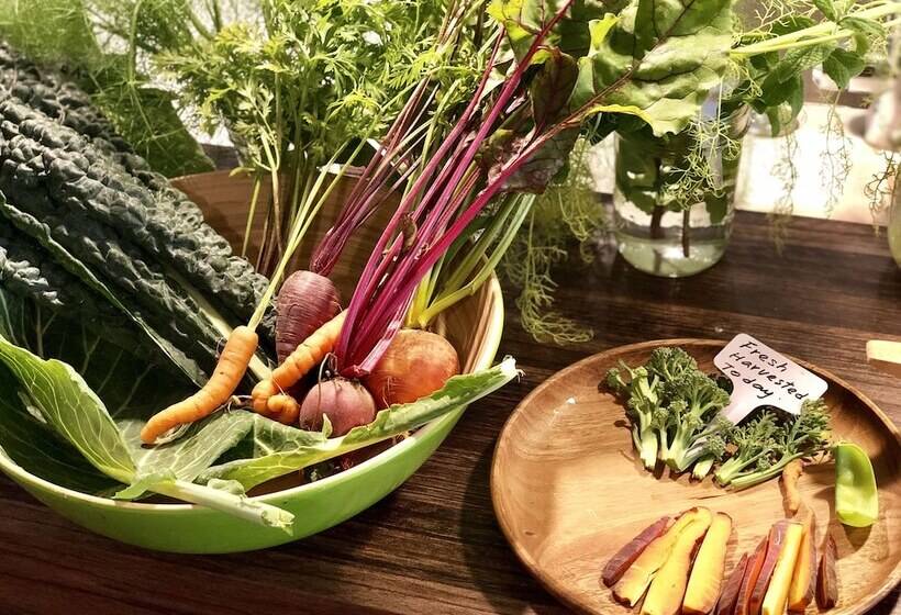 Inn At Moonlight Beach