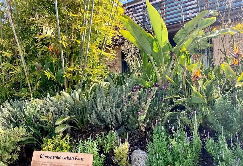 Inn At Moonlight Beach