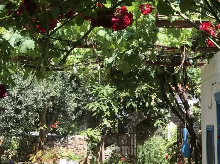 Likya Pansiyon