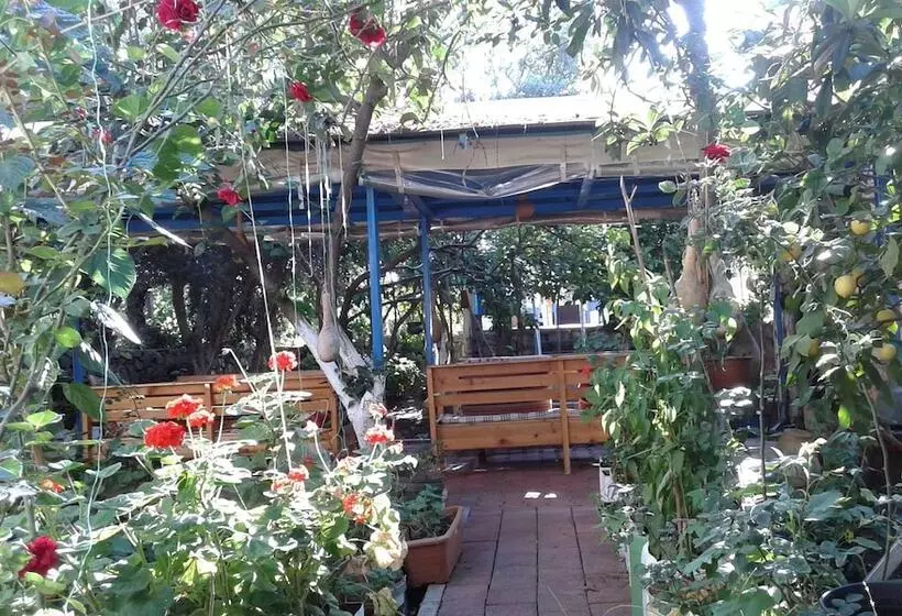 Likya Pansiyon