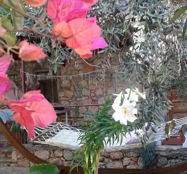 Likya Pansiyon