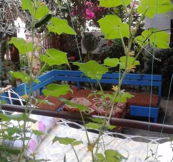 Likya Pansiyon
