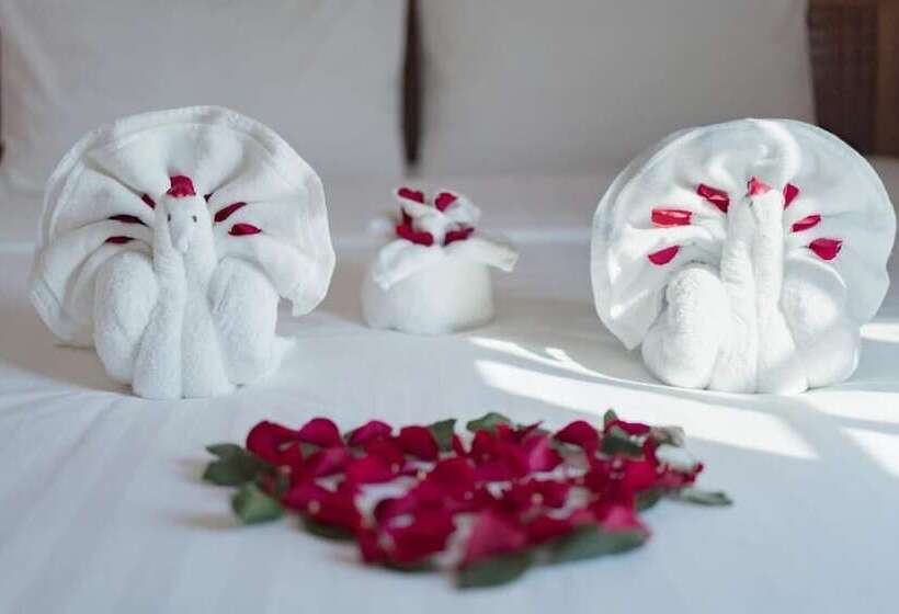 پانسیون Tri Tran Homestay