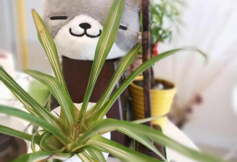 پانسیون Mu In