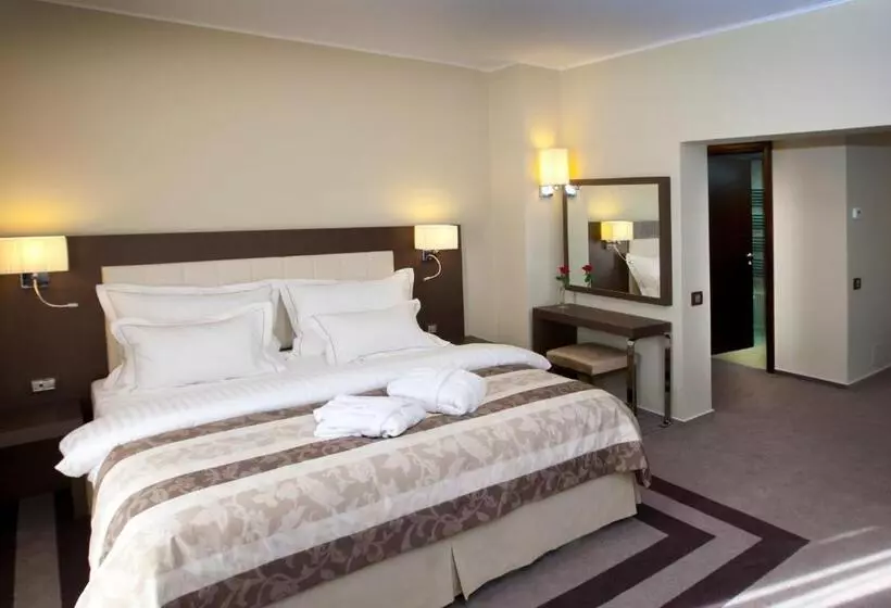 Отель Pietroasa