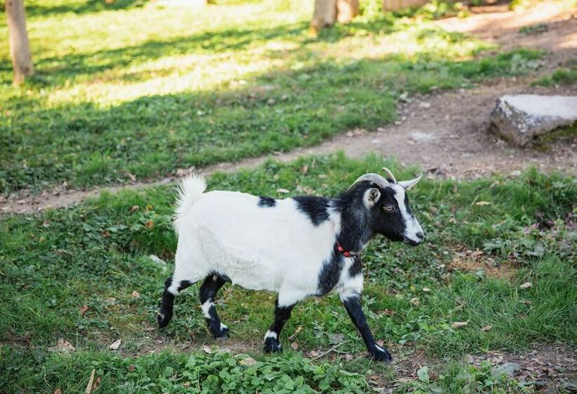 Aamiaismajoitus (B&B) The Beaumont House