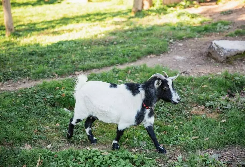 تختخواب و صبحانه The Beaumont House