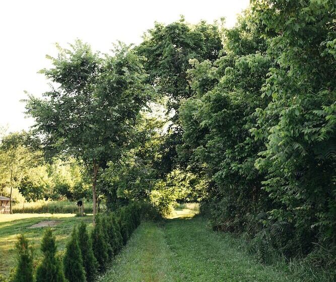 Aamiaismajoitus (B&B) The Beaumont House