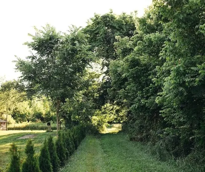 تختخواب و صبحانه The Beaumont House