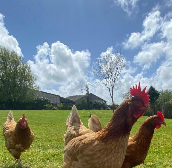 צימר Treveighan Farmhouse