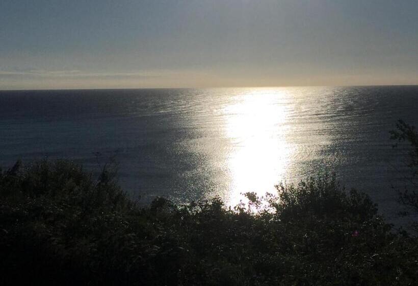 مبيت وإفطار Fernleigh