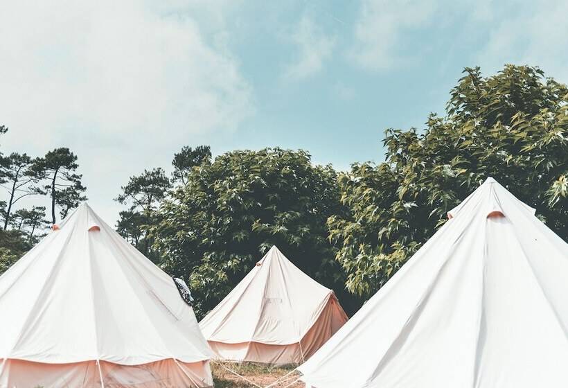 בית מלון כפרי Star Surf Camps Moliets