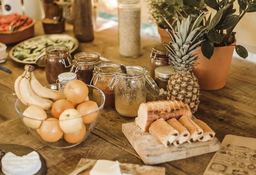 בית מלון כפרי Star Surf Camps Moliets