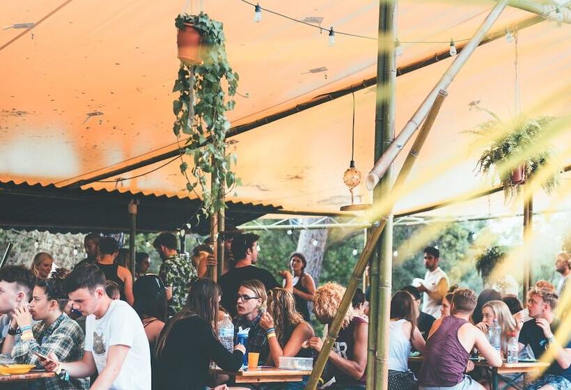 בית מלון כפרי Star Surf Camps Moliets