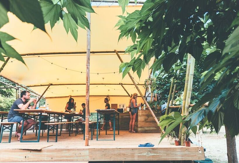 בית מלון כפרי Star Surf Camps Moliets